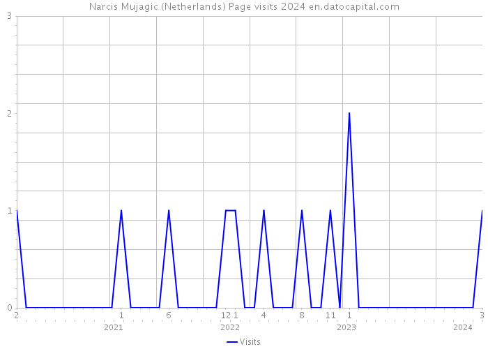 Narcis Mujagic (Netherlands) Page visits 2024 