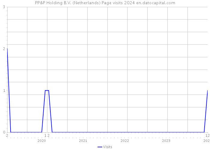 PP&P Holding B.V. (Netherlands) Page visits 2024 