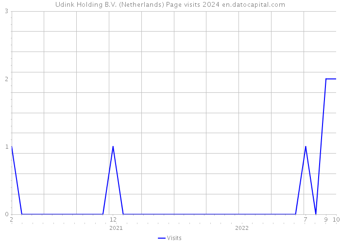 Udink Holding B.V. (Netherlands) Page visits 2024 