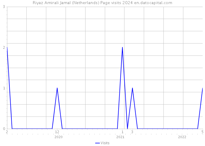Riyaz Amirali Jamal (Netherlands) Page visits 2024 