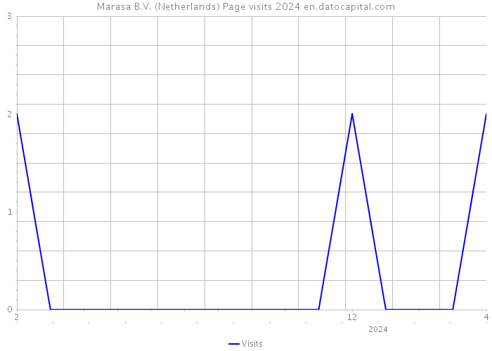 Marasa B.V. (Netherlands) Page visits 2024 
