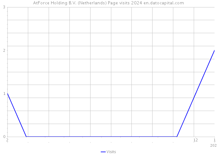 AtForce Holding B.V. (Netherlands) Page visits 2024 