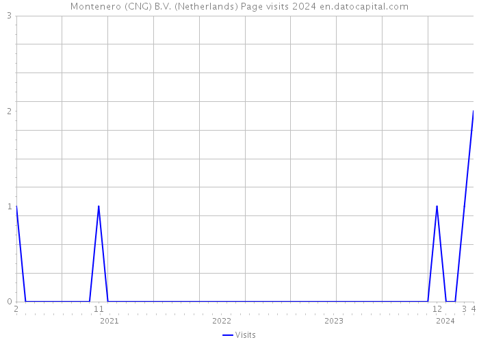 Montenero (CNG) B.V. (Netherlands) Page visits 2024 