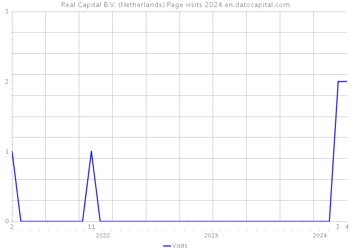 Real Capital B.V. (Netherlands) Page visits 2024 