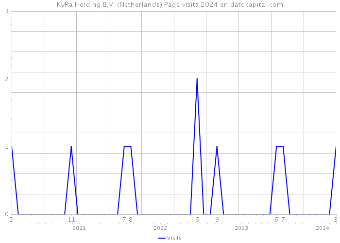 KyRa Holding B.V. (Netherlands) Page visits 2024 