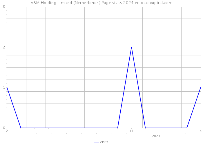 V&M Holding Limited (Netherlands) Page visits 2024 