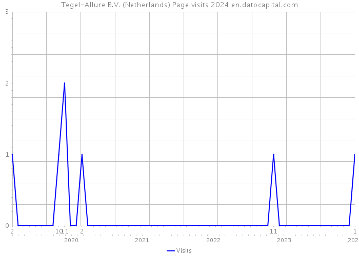 Tegel-Allure B.V. (Netherlands) Page visits 2024 