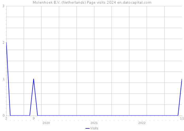 Molenhoek B.V. (Netherlands) Page visits 2024 