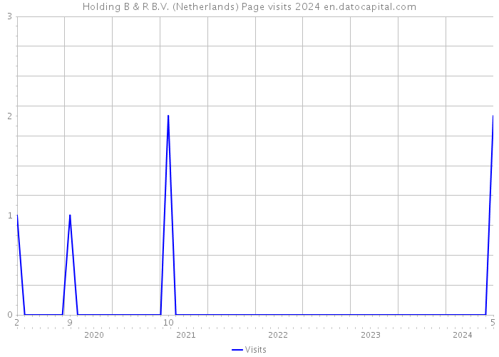 Holding B & R B.V. (Netherlands) Page visits 2024 