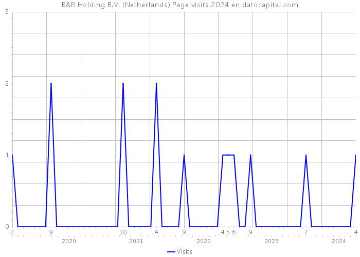 B&R Holding B.V. (Netherlands) Page visits 2024 