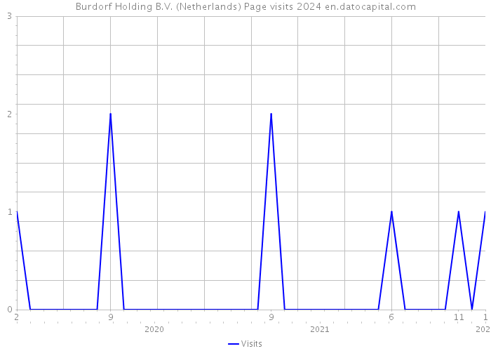 Burdorf Holding B.V. (Netherlands) Page visits 2024 