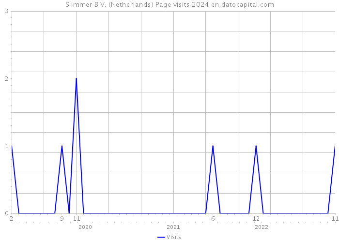 Slimmer B.V. (Netherlands) Page visits 2024 