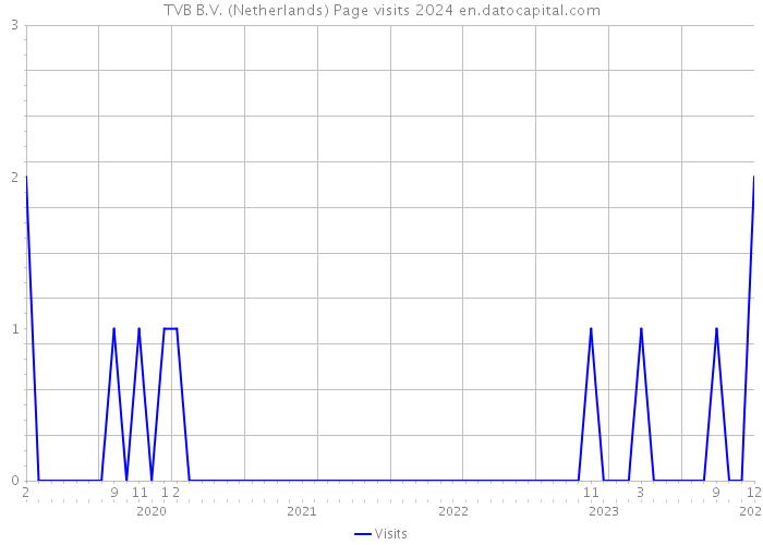 TVB B.V. (Netherlands) Page visits 2024 