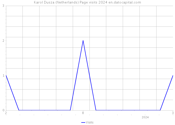 Karol Dusza (Netherlands) Page visits 2024 
