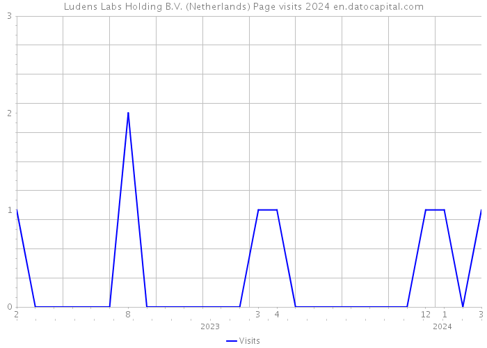 Ludens Labs Holding B.V. (Netherlands) Page visits 2024 