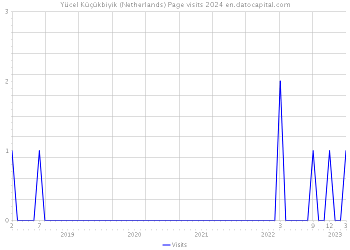 Yücel Küçükbiyik (Netherlands) Page visits 2024 