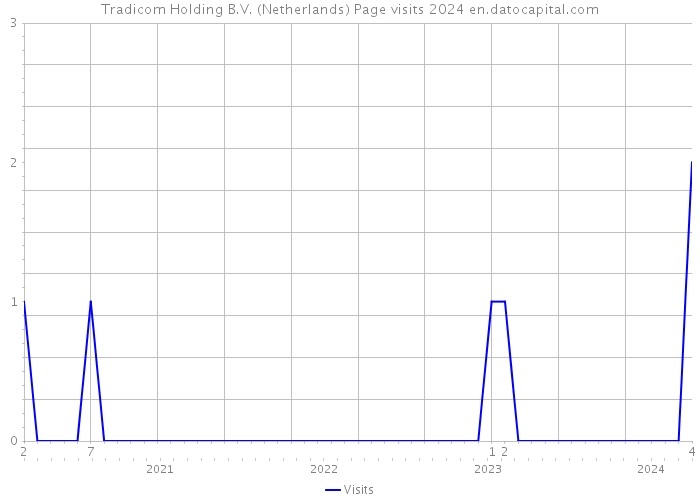 Tradicom Holding B.V. (Netherlands) Page visits 2024 