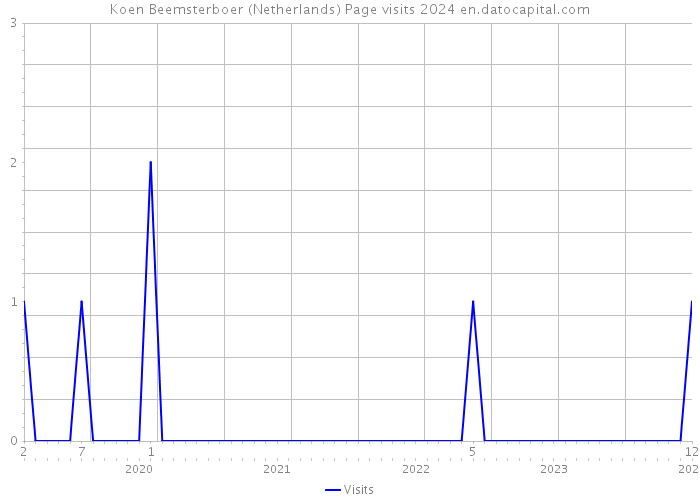 Koen Beemsterboer (Netherlands) Page visits 2024 