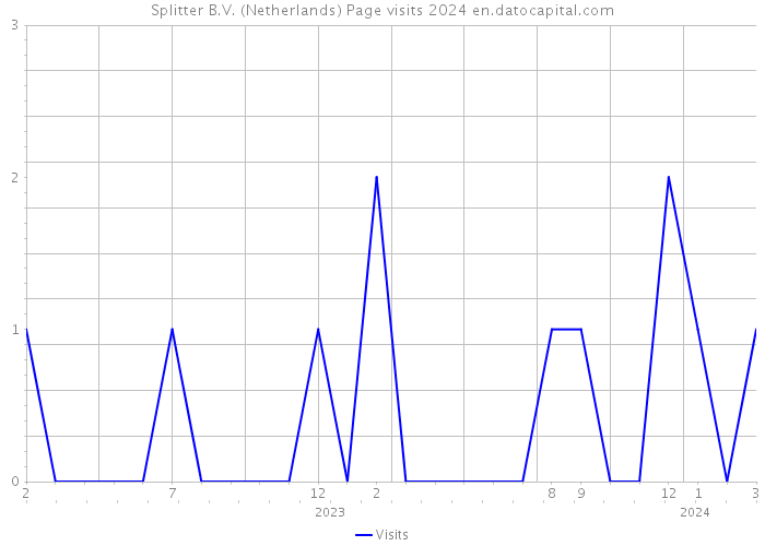Splitter B.V. (Netherlands) Page visits 2024 