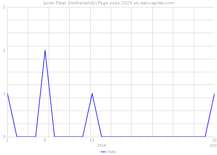 Jureti Patar (Netherlands) Page visits 2024 