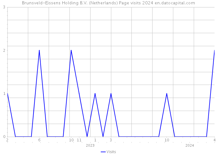 Brunsveld-Eissens Holding B.V. (Netherlands) Page visits 2024 
