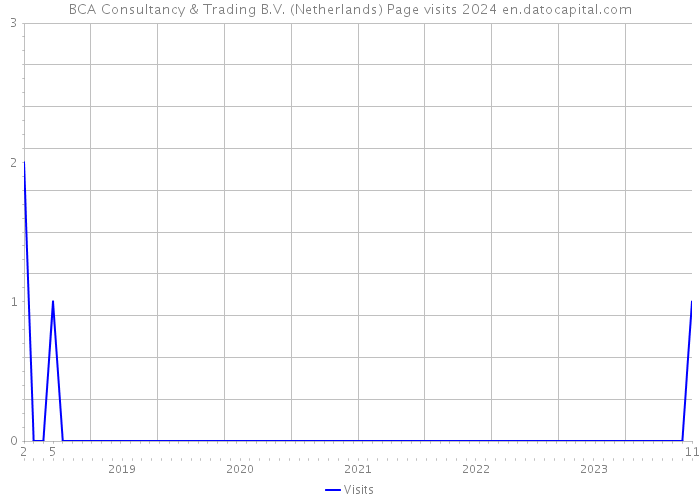 BCA Consultancy & Trading B.V. (Netherlands) Page visits 2024 