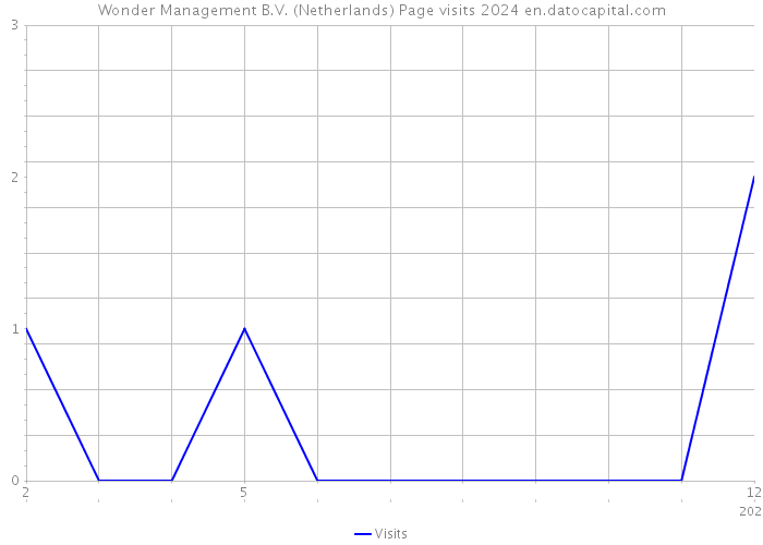 Wonder Management B.V. (Netherlands) Page visits 2024 