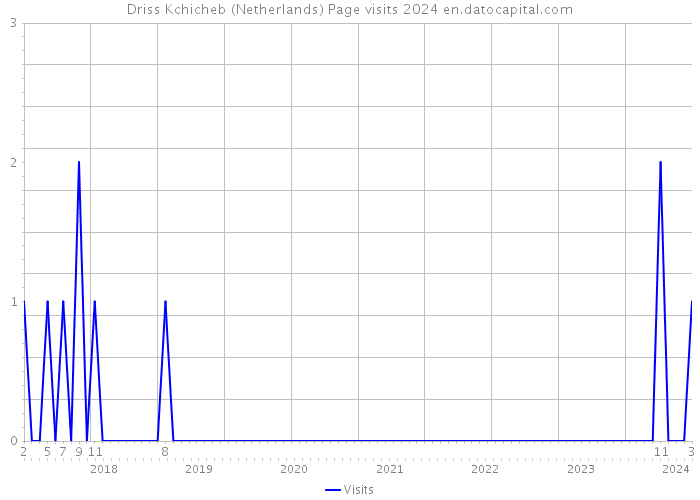 Driss Kchicheb (Netherlands) Page visits 2024 