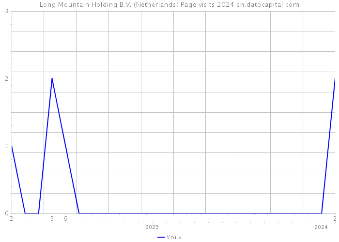 Long Mountain Holding B.V. (Netherlands) Page visits 2024 