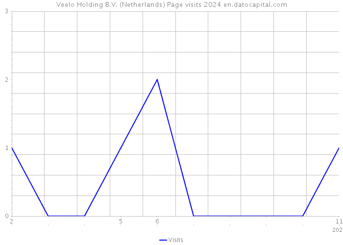 Veelo Holding B.V. (Netherlands) Page visits 2024 