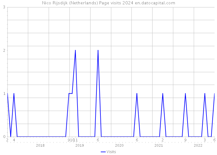 Nico Rijsdijk (Netherlands) Page visits 2024 