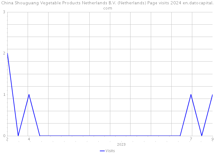 China Shouguang Vegetable Products Netherlands B.V. (Netherlands) Page visits 2024 