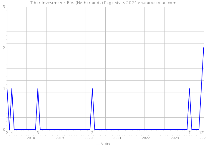 Tiber Investments B.V. (Netherlands) Page visits 2024 