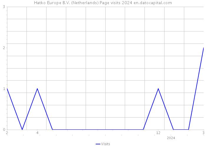 Hatko Europe B.V. (Netherlands) Page visits 2024 