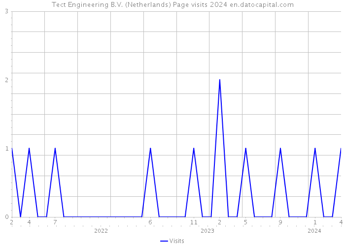 Tect Engineering B.V. (Netherlands) Page visits 2024 