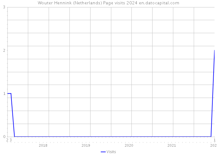 Wouter Hennink (Netherlands) Page visits 2024 