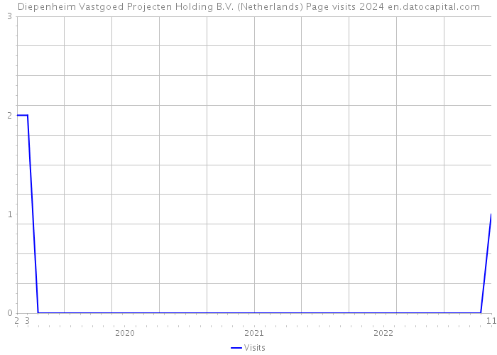 Diepenheim Vastgoed Projecten Holding B.V. (Netherlands) Page visits 2024 