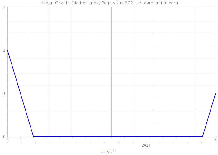 Kagan Gezgin (Netherlands) Page visits 2024 