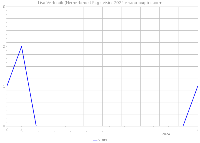 Lisa Verkaaik (Netherlands) Page visits 2024 
