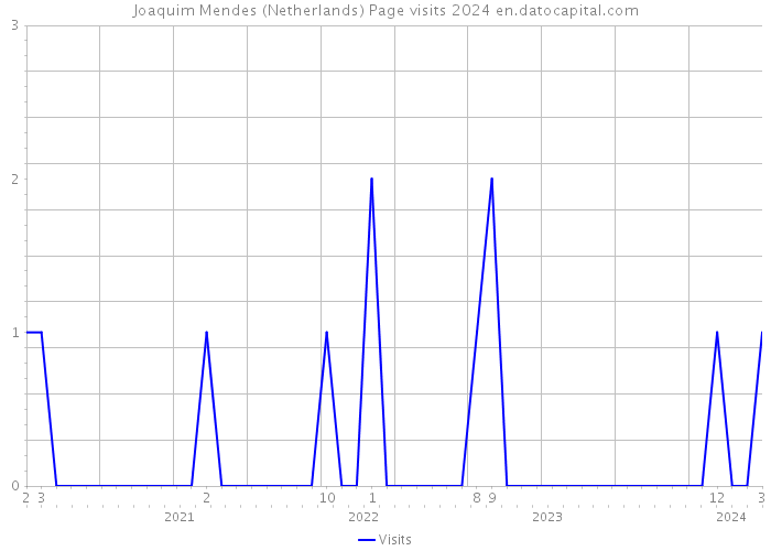 Joaquim Mendes (Netherlands) Page visits 2024 
