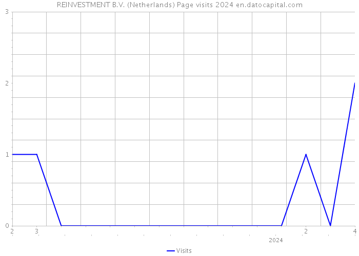 REINVESTMENT B.V. (Netherlands) Page visits 2024 