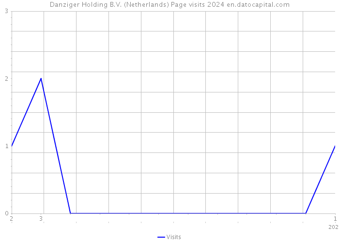 Danziger Holding B.V. (Netherlands) Page visits 2024 