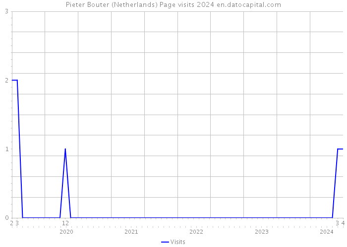 Pieter Bouter (Netherlands) Page visits 2024 