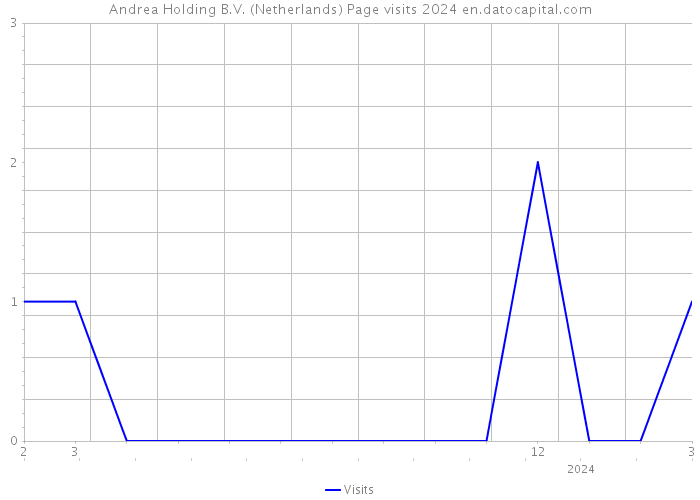 Andrea Holding B.V. (Netherlands) Page visits 2024 