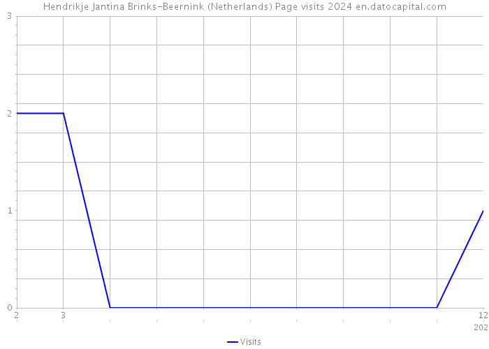 Hendrikje Jantina Brinks-Beernink (Netherlands) Page visits 2024 