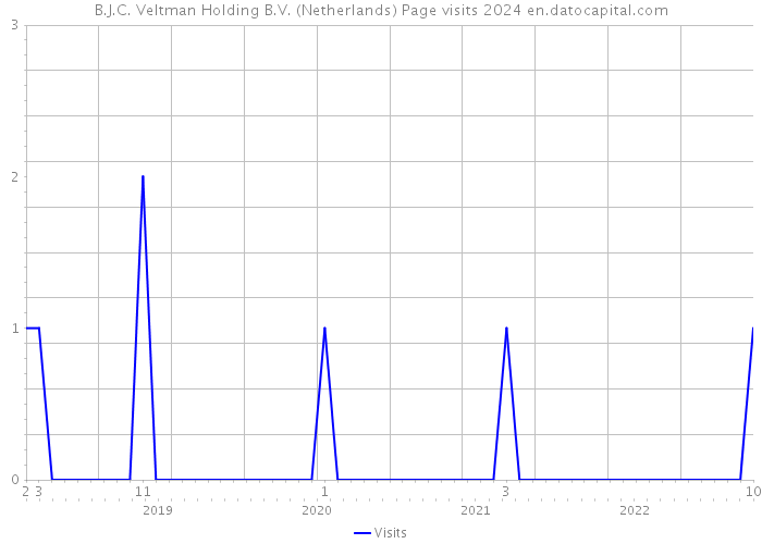 B.J.C. Veltman Holding B.V. (Netherlands) Page visits 2024 