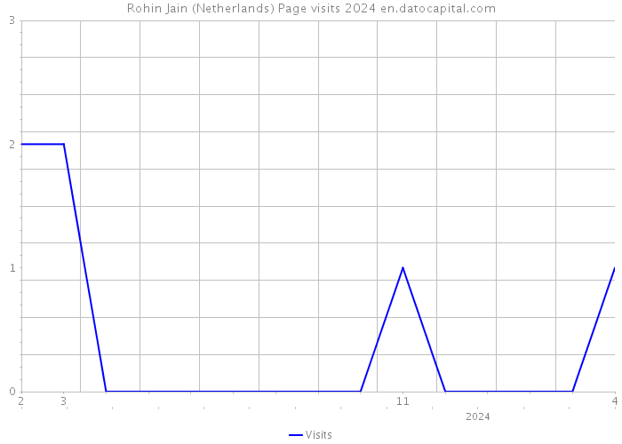Rohin Jain (Netherlands) Page visits 2024 