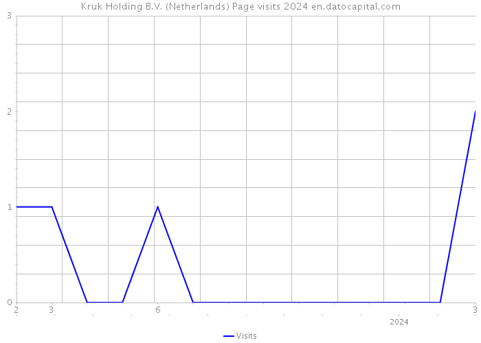 Kruk Holding B.V. (Netherlands) Page visits 2024 