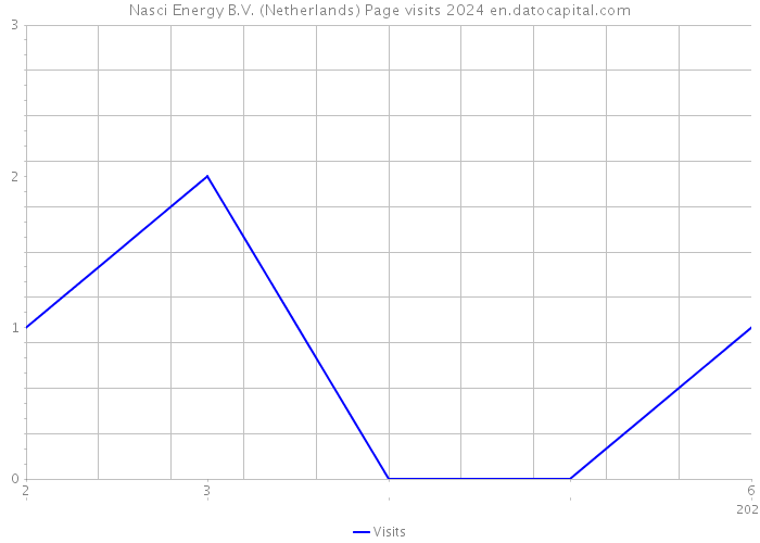 Nasci Energy B.V. (Netherlands) Page visits 2024 