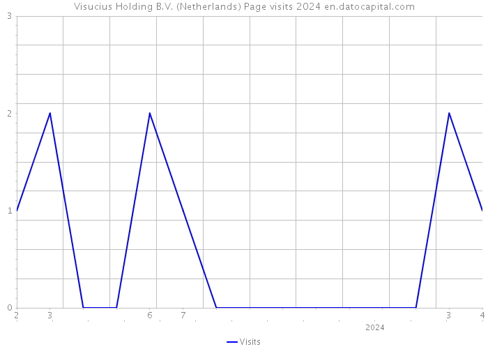 Visucius Holding B.V. (Netherlands) Page visits 2024 
